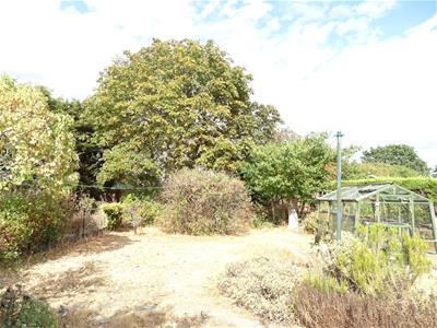 Picture 22